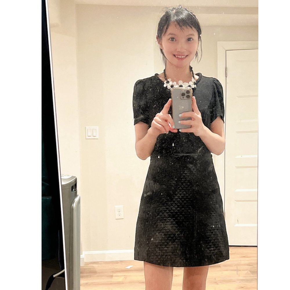 Chic Black Professional Office Dress
